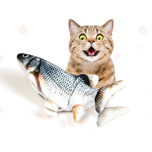 NOW Floating Fish Cat Toy