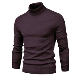 Baldoa | Stylish Turtleneck Sweater