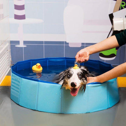 Elixir Foldable Dog Swimming Pool