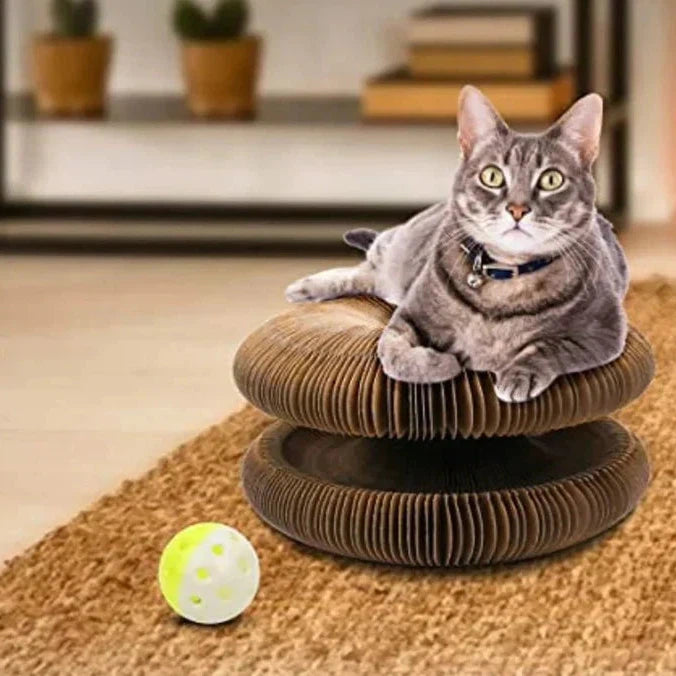 Feline Cat Toy | Hours of Fun for Your Cat