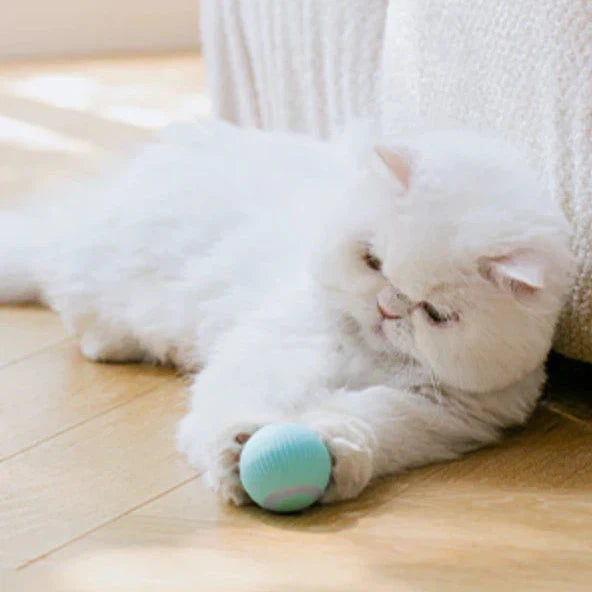 Intelligent Cat Toy by Petgravity