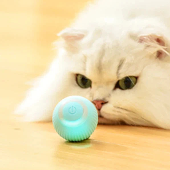Intelligent Cat Toy by Petgravity