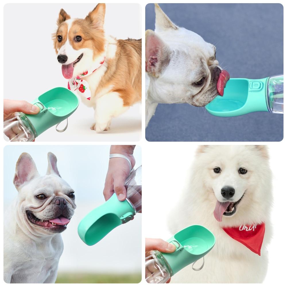 Rodge Portable Water Bottle for Pets