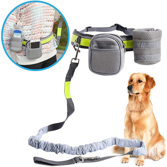 Leash for dogs
