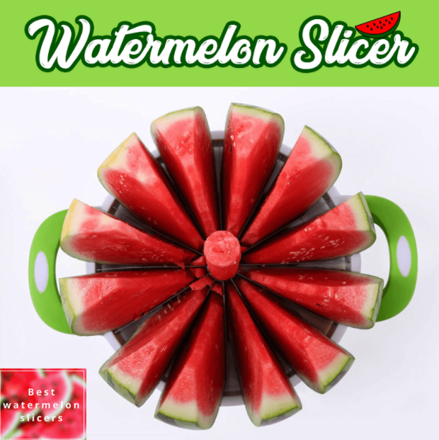Wendy Watermelon Cutter